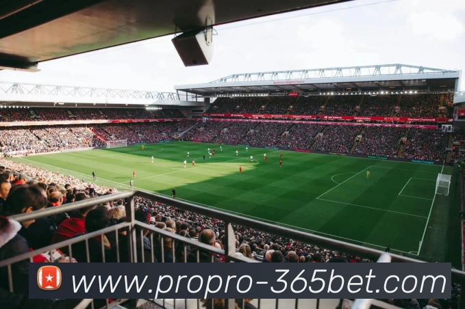 365bet平台生态图